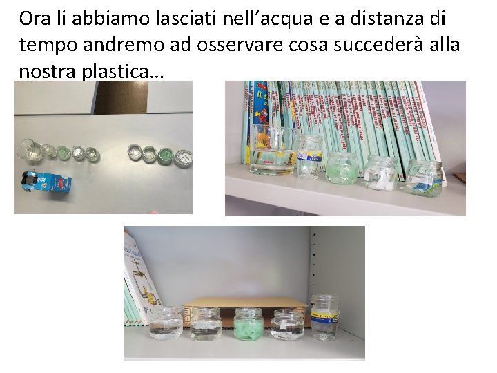 Ora li abbiamo lasciati nell’acqua e a distanza di tempo andremo ad osservare cosa