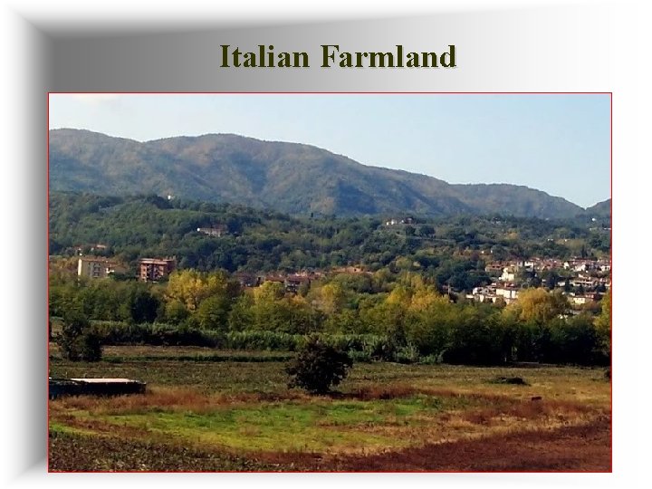 Italian Farmland 