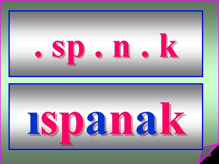 . sp. n. k ıspanak 30 