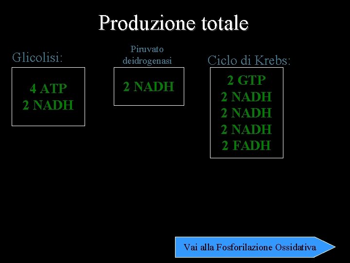 Produzione totale Glicolisi: 4 ATP 2 NADH Piruvato deidrogenasi 2 NADH Ciclo di Krebs: