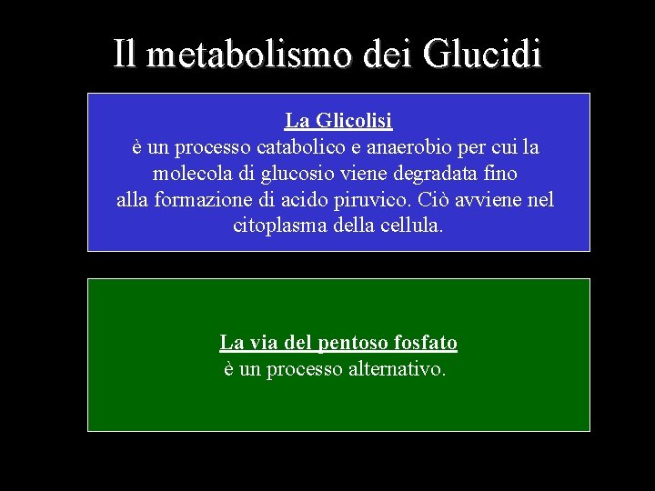 Il metabolismo dei Glucidi La Glicolisi è un processo catabolico e anaerobio per cui