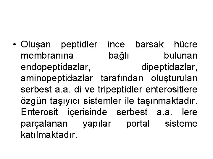  • Oluşan peptidler ince barsak hücre membranına bağlı bulunan endopeptidazlar, dipeptidazlar, aminopeptidazlar tarafından