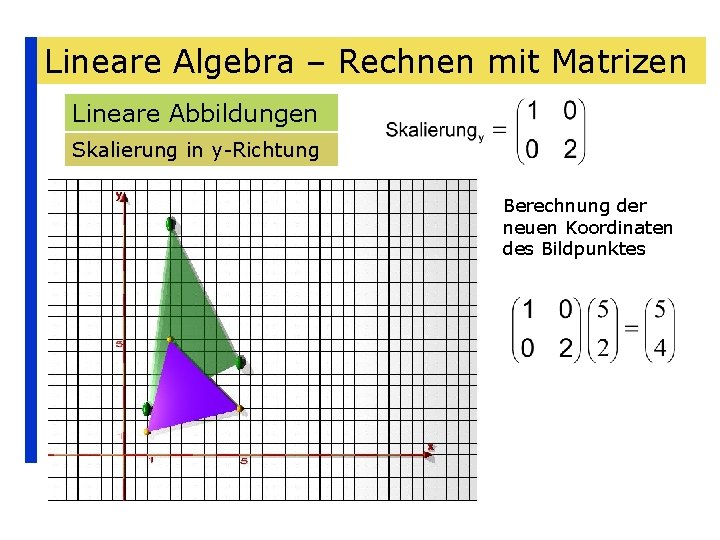 Lineare Algebra – Rechnen mit Matrizen Lineare Abbildungen Skalierung in y-Richtung Berechnung der neuen