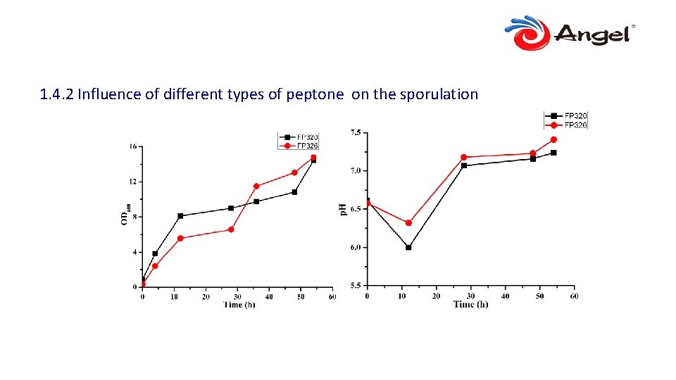 1. 4. 2 Influence of different types of peptone on the sporulation 