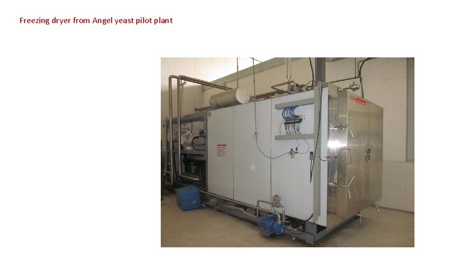 Freezing dryer from Angel yeast pilot plant 