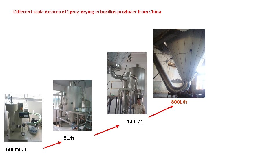 Different scale devices of Spray-drying in bacillus producer from China 800 L/h 100 L/h