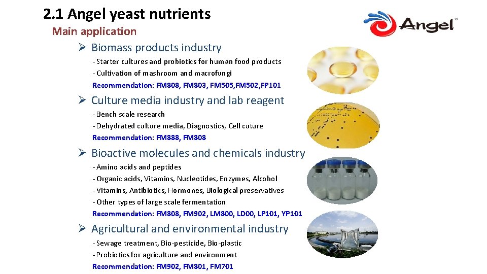 2. 1 Angel yeast nutrients Main application Ø Biomass products industry - Starter cultures