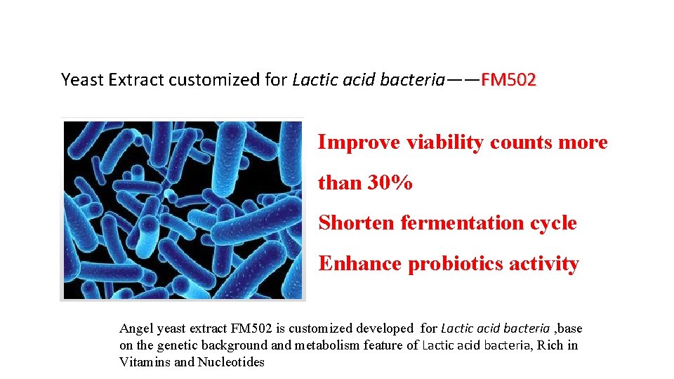Yeast Extract customized for Lactic acid bacteria——FM 502 Improve viability counts more than 30%