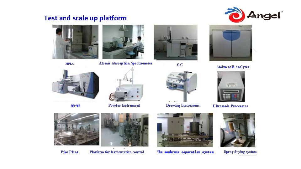 Test and scale up platform HPLC GC-MS Pilot Plant Atomic Absorption Spectrometer Powder Instrument