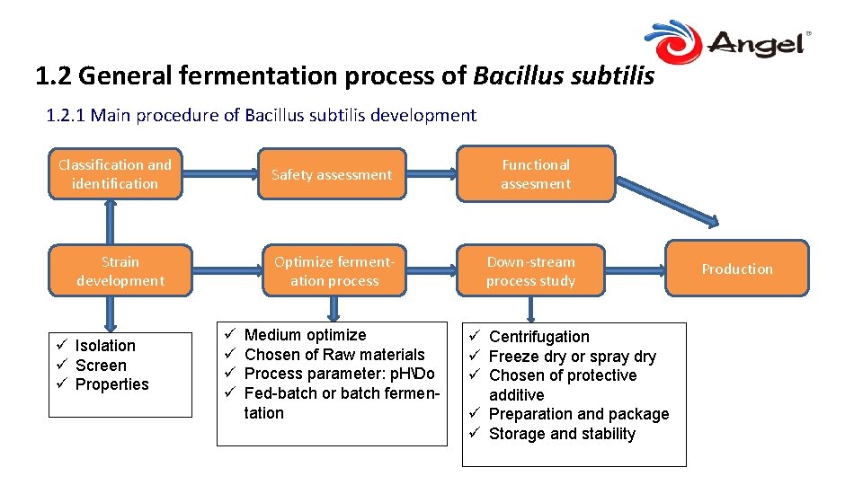 1. 2 General fermentation process of Bacillus subtilis 1. 2. 1 Main procedure of