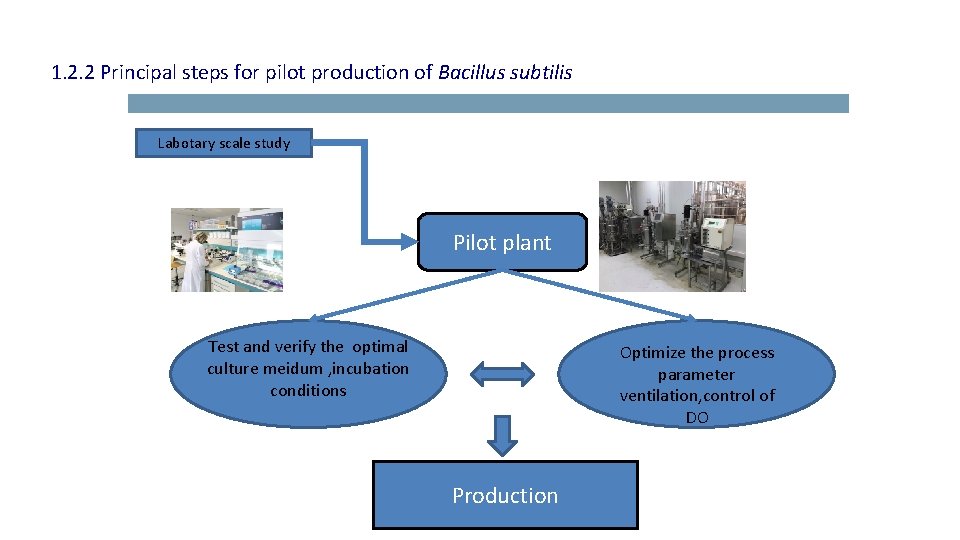 1. 2. 2 Principal steps for pilot production of Bacillus subtilis Labotary scale study