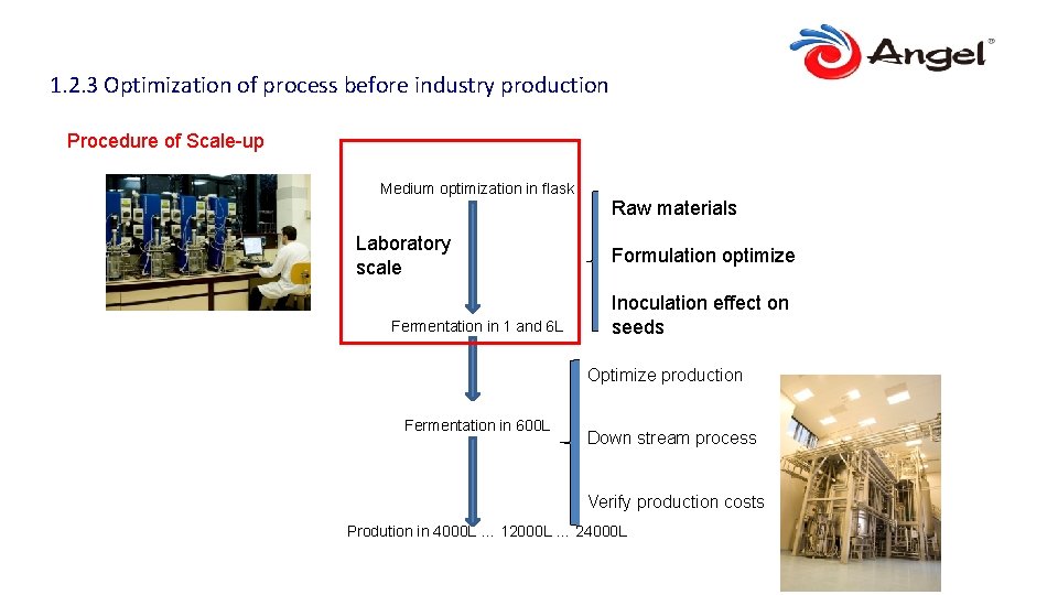1. 2. 3 Optimization of process before industry production Procedure of Scale-up Medium optimization