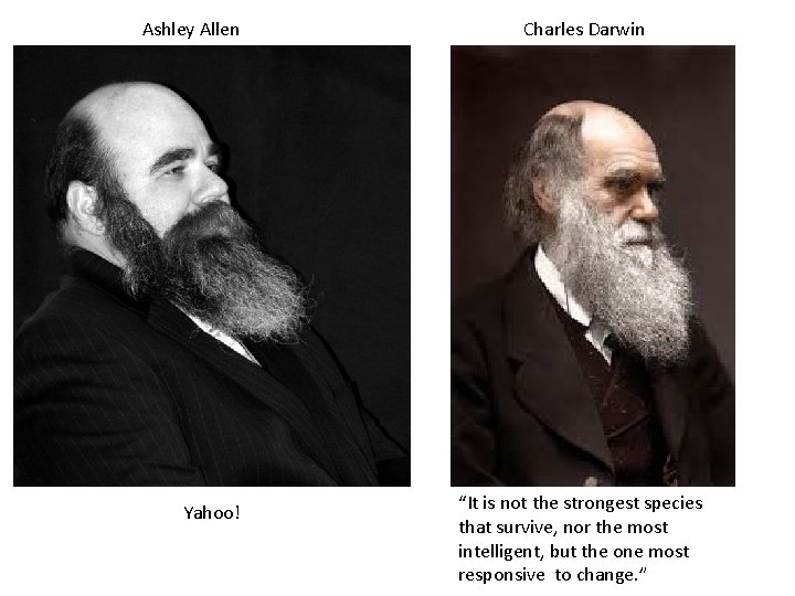  Ashley Allen Charles Darwin Yahoo! “It is not the strongest species that survive,