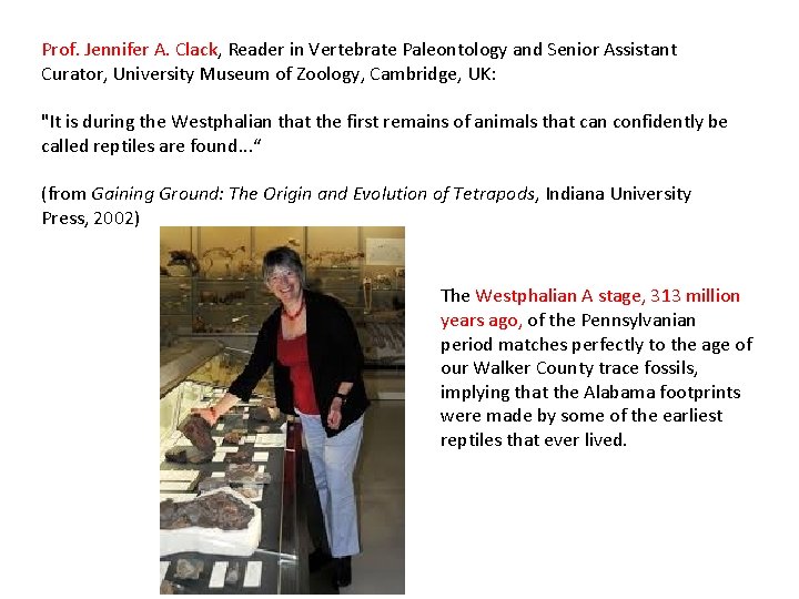Prof. Jennifer A. Clack, Reader in Vertebrate Paleontology and Senior Assistant Curator, University Museum