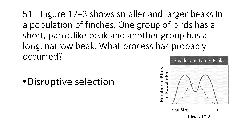 51. Figure 17– 3 shows smaller and larger beaks in a population of finches.