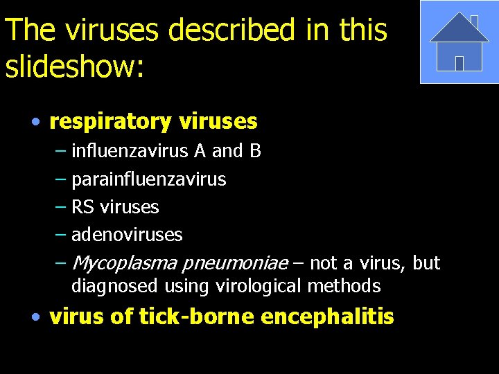 The viruses described in this slideshow: • respiratory viruses – influenzavirus A and B