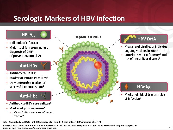 Serologic Markers of HBV Infection HBs. Ag Hepatitis B Virus • Hallmark of •