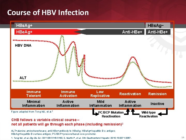 Course of HBV Infection HBs. Ag+ HBe. Ag+ HBs. Ag− 2 million have CHB
