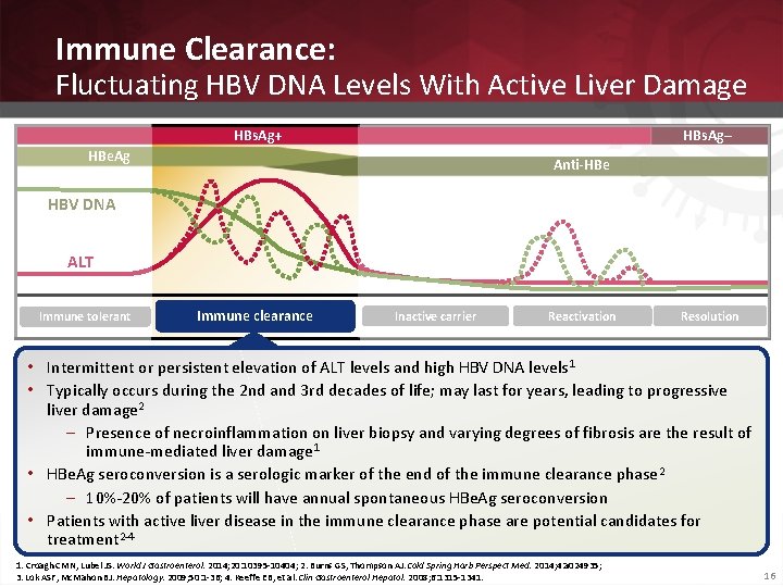 Immune Clearance: Fluctuating HBV DNA Levels With Active Liver Damage HBs. Ag+ HBs. Ag–