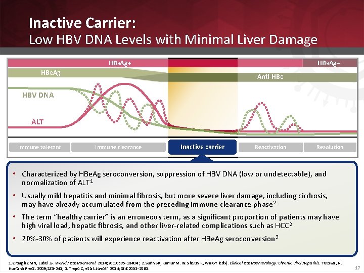 Inactive Carrier: Low HBV DNA Levels with Minimal Liver Damage HBs. Ag+ HBs. Ag–