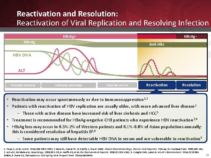 Reactivation and Resolution: Reactivation of Viral Replication and Resolving Infection HBs. Ag+ HBs. Ag–