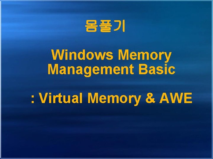 몸풀기 Windows Memory Management Basic : Virtual Memory & AWE 