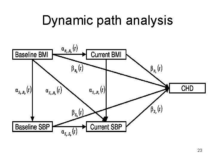 Dynamic path analysis 23 