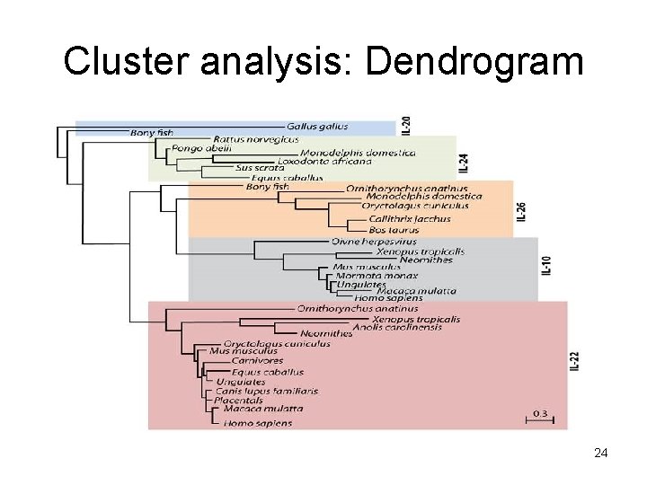 Cluster analysis: Dendrogram 24 