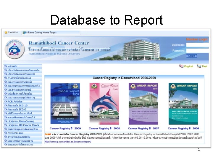 Database to Report 3 
