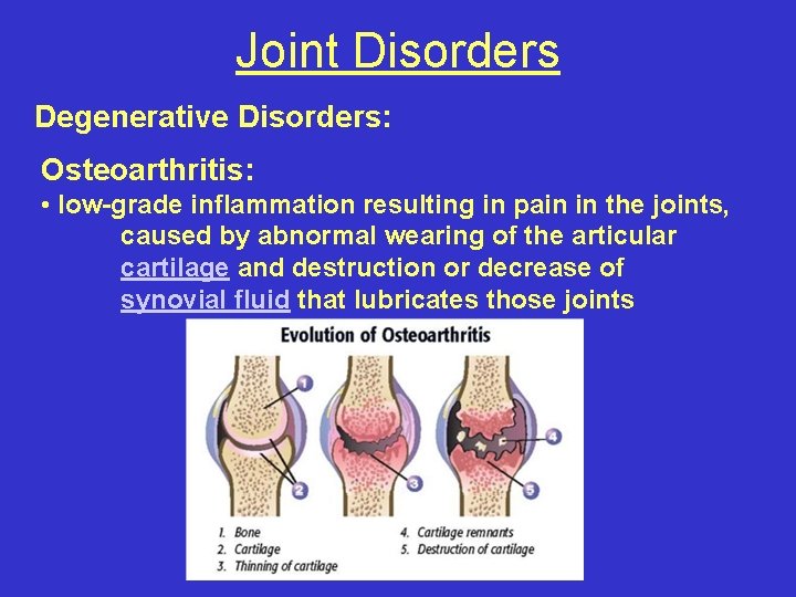 Joint Disorders Degenerative Disorders: Osteoarthritis: • low-grade inflammation resulting in pain in the joints,