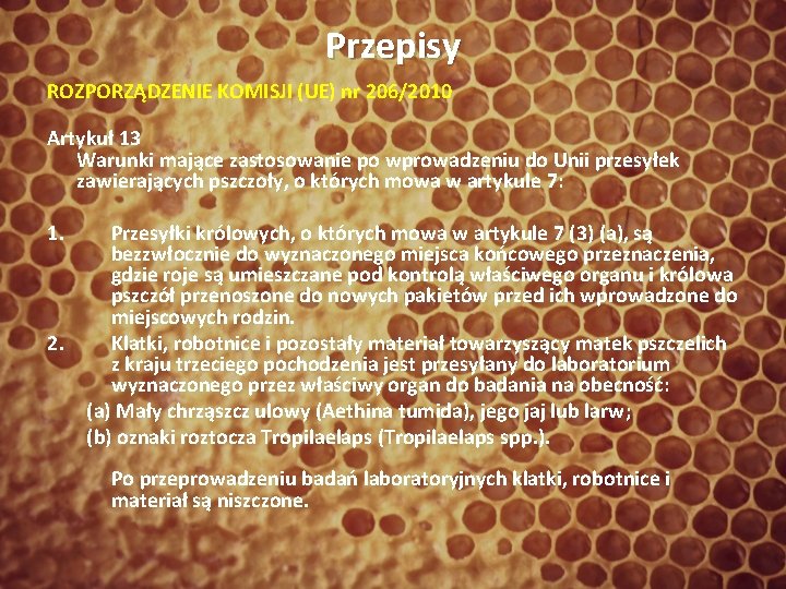 Przepisy ROZPORZĄDZENIE KOMISJI (UE) nr 206/2010 Artykuł 13 Warunki mające zastosowanie po wprowadzeniu do