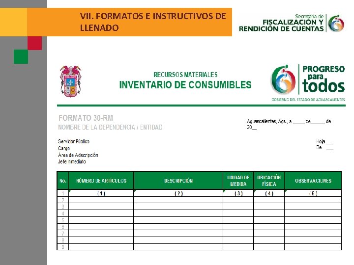 VII. FORMATOS E INSTRUCTIVOS DE LLENADO 