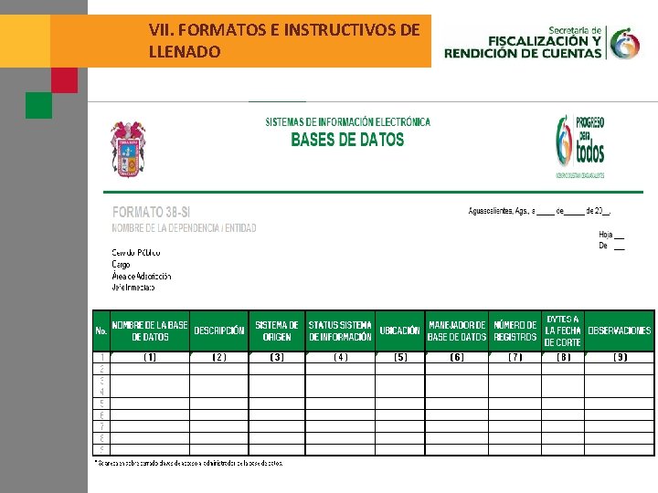 VII. FORMATOS E INSTRUCTIVOS DE LLENADO 