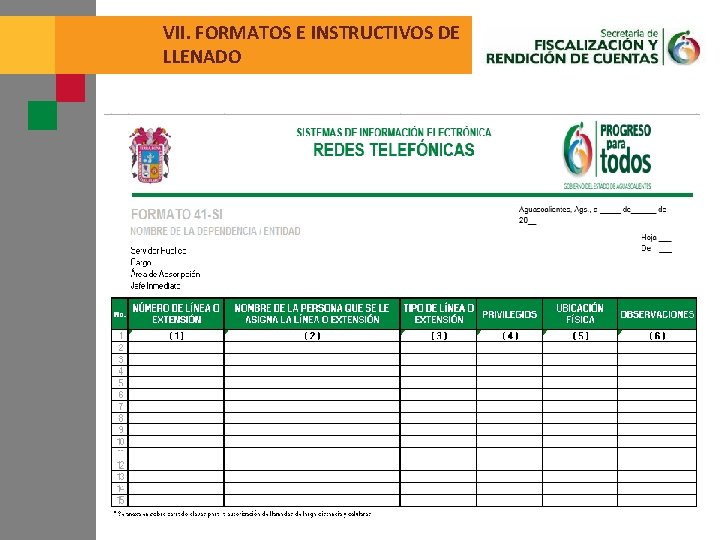 VII. FORMATOS E INSTRUCTIVOS DE LLENADO 