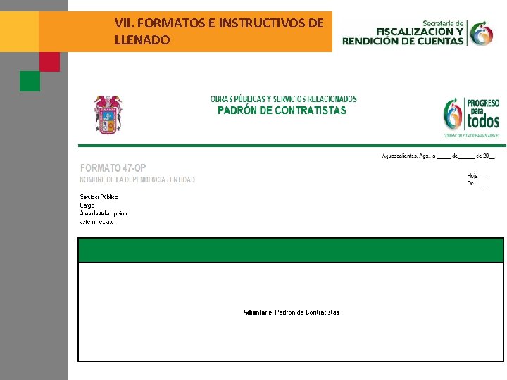 VII. FORMATOS E INSTRUCTIVOS DE LLENADO 