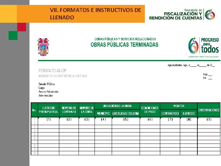 VII. FORMATOS E INSTRUCTIVOS DE LLENADO 