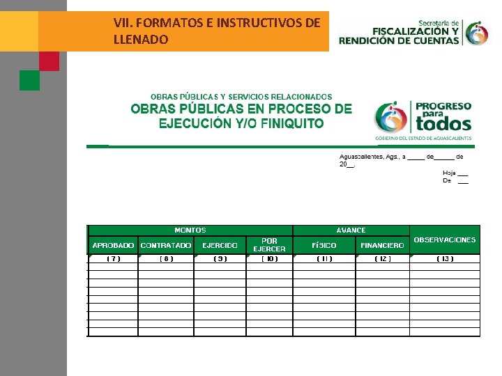 VII. FORMATOS E INSTRUCTIVOS DE LLENADO 