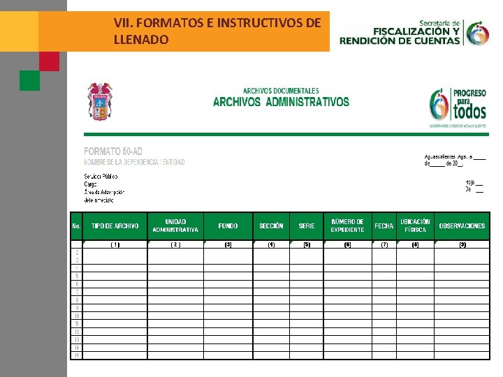 VII. FORMATOS E INSTRUCTIVOS DE LLENADO 