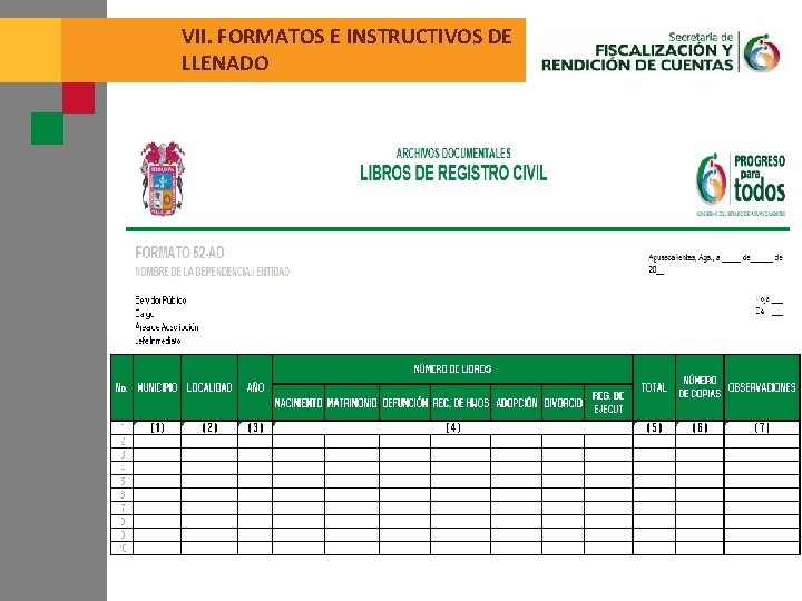 VII. FORMATOS E INSTRUCTIVOS DE LLENADO 