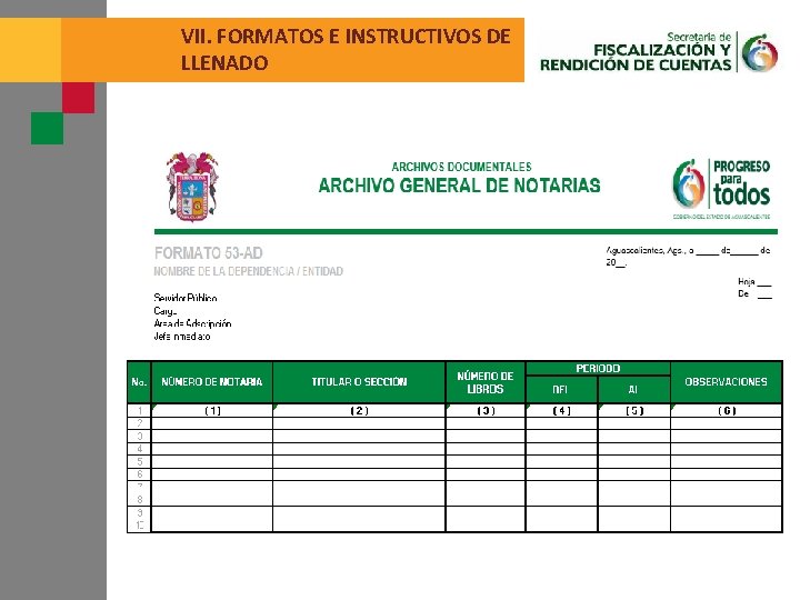 VII. FORMATOS E INSTRUCTIVOS DE LLENADO 