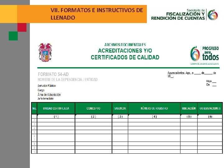 VII. FORMATOS E INSTRUCTIVOS DE LLENADO 