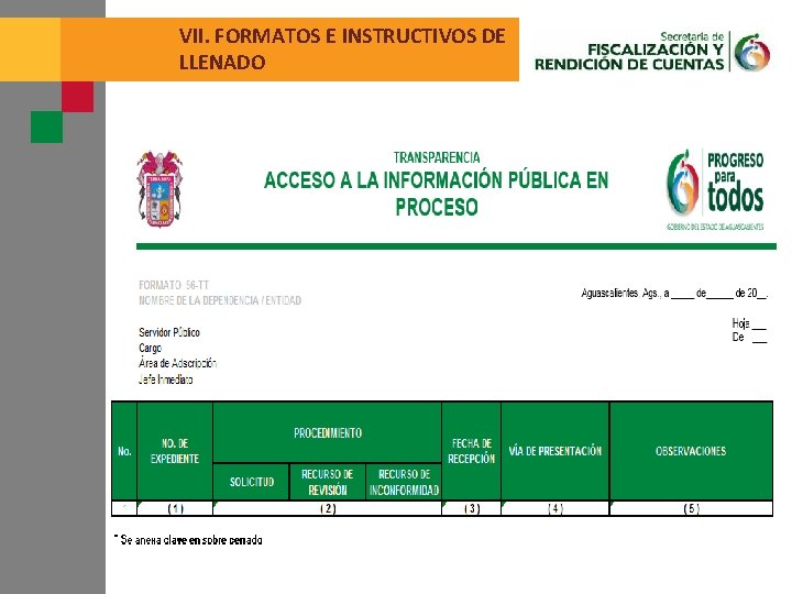 VII. FORMATOS E INSTRUCTIVOS DE LLENADO 