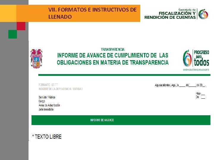 VII. FORMATOS E INSTRUCTIVOS DE LLENADO 