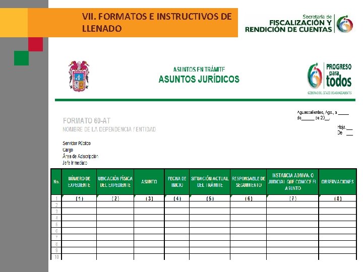 VII. FORMATOS E INSTRUCTIVOS DE LLENADO 