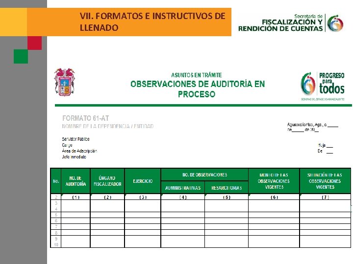 VII. FORMATOS E INSTRUCTIVOS DE LLENADO 