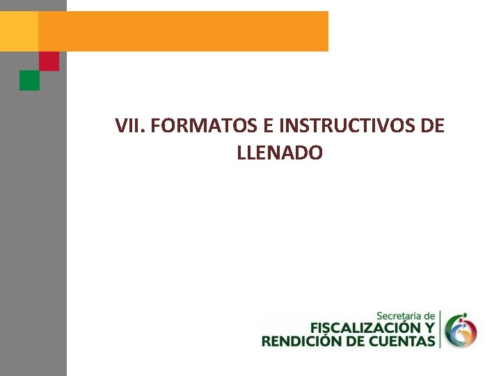 VII. FORMATOS E INSTRUCTIVOS DE LLENADO 