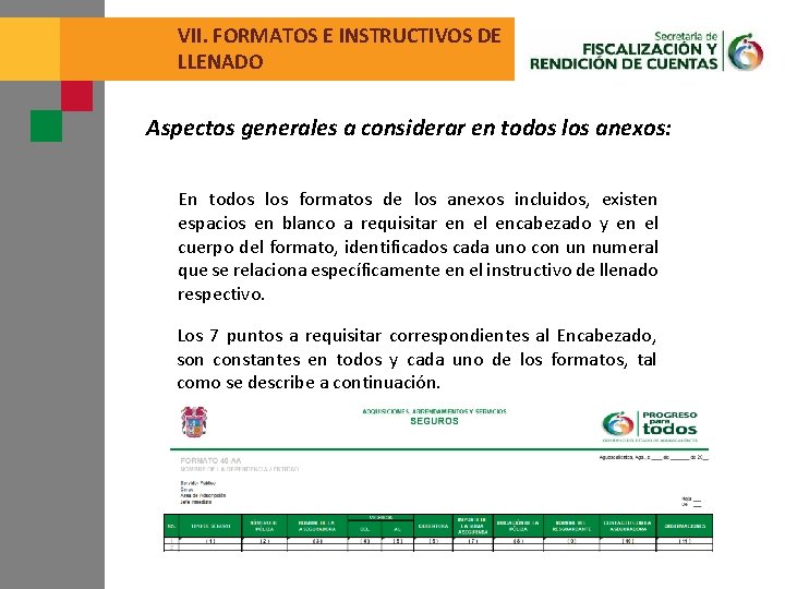 VII. FORMATOS E INSTRUCTIVOS DE LLENADO Aspectos generales a considerar en todos los anexos: