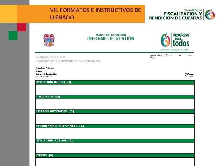 VII. FORMATOS E INSTRUCTIVOS DE LLENADO 