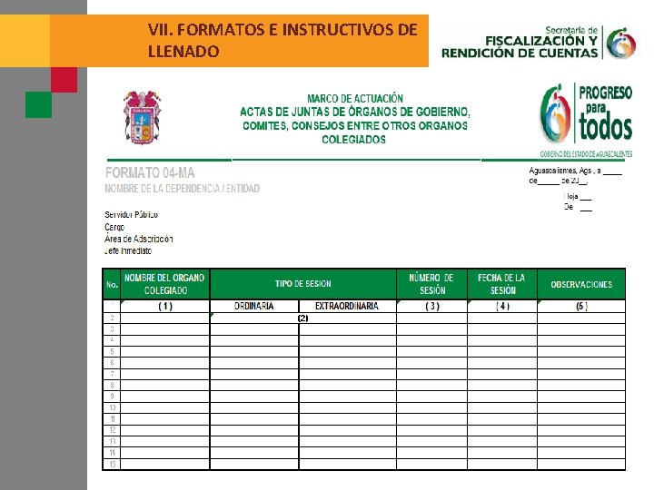 VII. FORMATOS E INSTRUCTIVOS DE LLENADO 