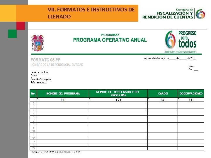 VII. FORMATOS E INSTRUCTIVOS DE LLENADO 